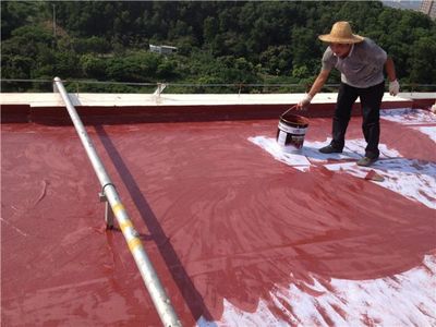 深圳市龙岗区旺兴装饰防水材料工程部