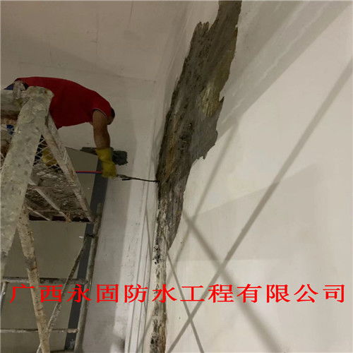 【南宁屋顶防水补漏价格、南宁市永固堵漏公司】- 